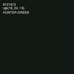 #121813 - Hunter Green Color Image